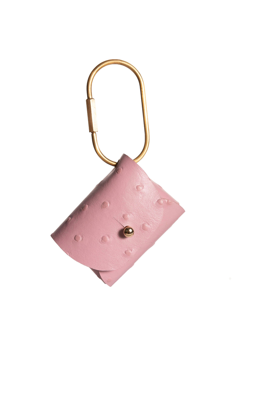 AirPod Pro Case Limited Edition - Ladicani Design